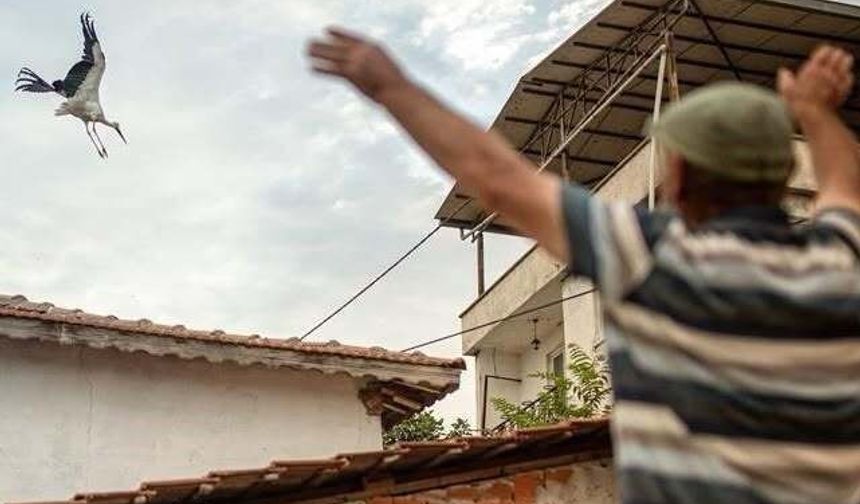Yaren leyleğin vedası yürek burktu
