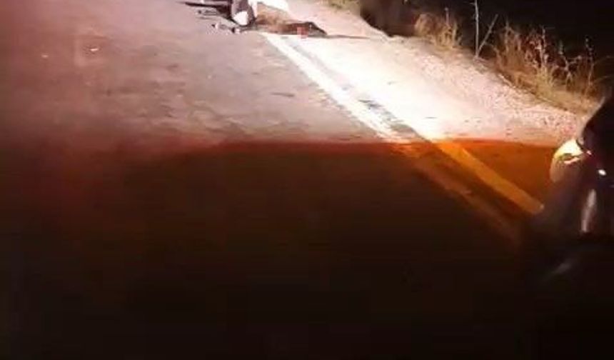 Yüksekova'da sürüye otomobil çarptı: 4 koyun telef oldu