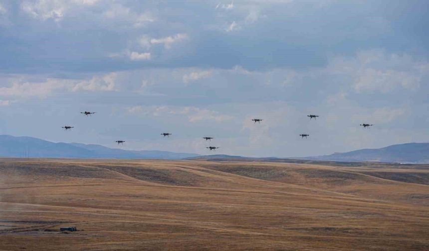 20 KARGU, sürü halinde saldırarak hedefleri imha etti