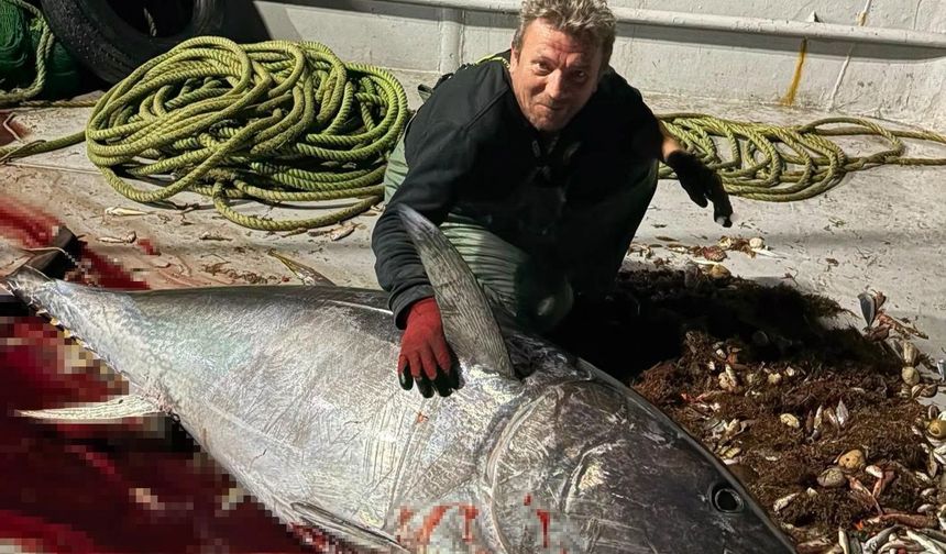 Balıkçılar Saros Körfezi'nde 175 kiloluk orkinos yakaladı