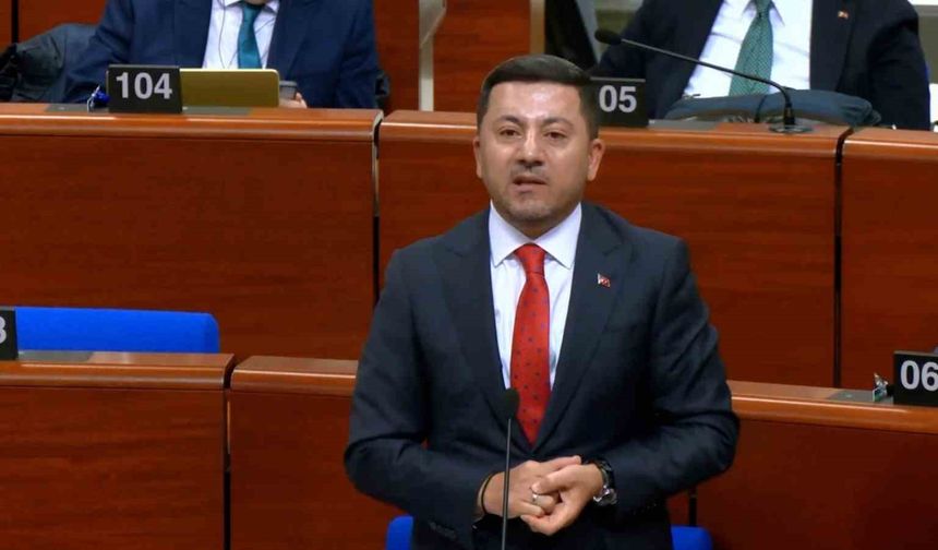 Başkan Arı'dan Strasbourg'da net mesaj: 'Türkiye'nin yerine karar verilemez'
