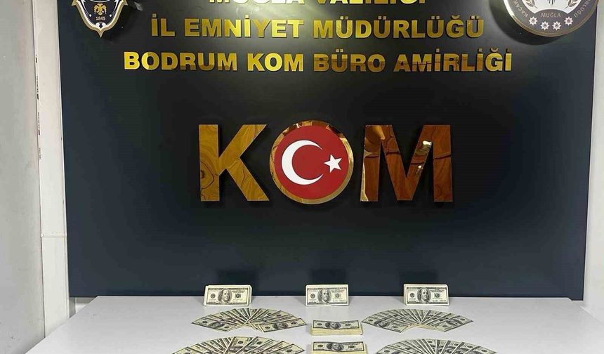 Bodrum'da sahte dolar operasyonu: 46 bin 200 dolar ele geçirildi
