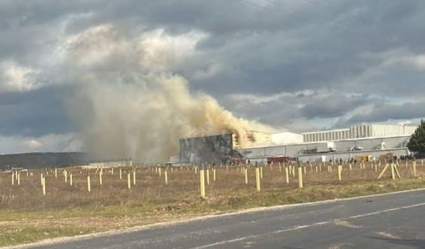 Kırklareli'nde ilaç fabrikasındaki yangın 3 saatte kontrol altına alındı