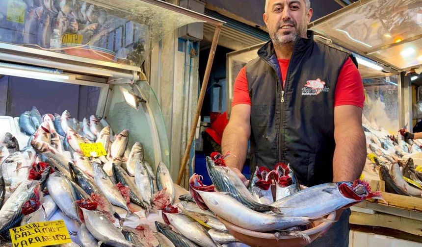Tezgahların şampiyonu 'palamut'