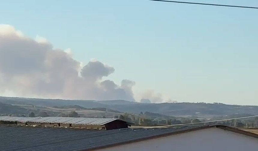 Yunanistan'daki yangında oluşan yoğun duman Meriç'ten de görülüyor