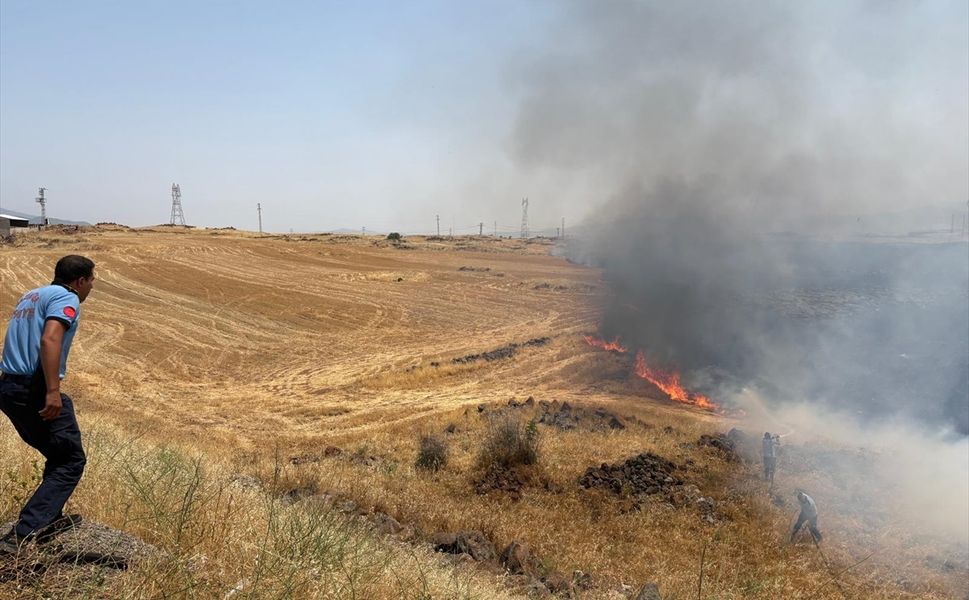 Gaziantep'te 300 dönümlük alanda çıkan anız yangını söndürüldü