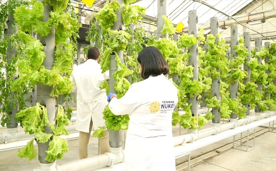 TENMAK, yiyeceklerin raf ömrünü uzatan gıda teknolojisi geliştiriyor