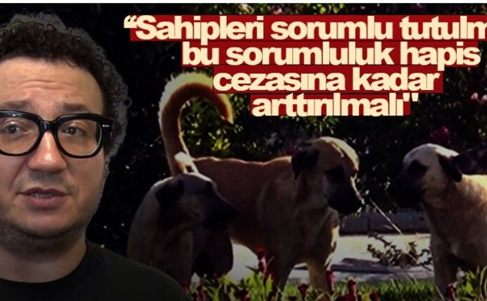 Oytun Erbaş: Köpek Sahiplerine Hapis Cezasına Kadar Sorumluluk Getirilmeli