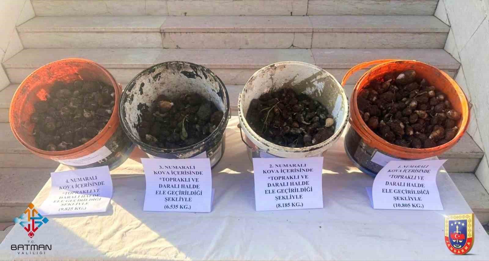 Sason'da endemik bitki operasyonu: 4 kişiye 2 milyon 8 bin lira ceza