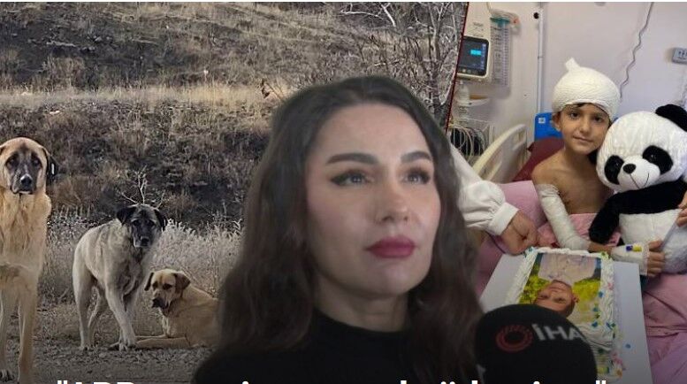 Köpek Saldırısında Yaralanan Tunahan’ın Ailesi İcra Yoluna Başvurdu