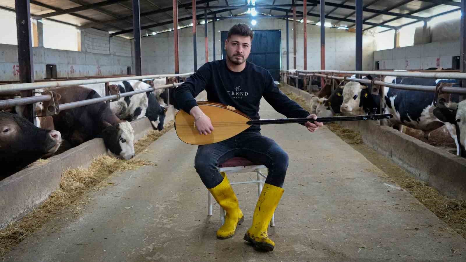 Ankaralı besici kurbanlık hayvanlarına saz çalıp, türkü söylüyor