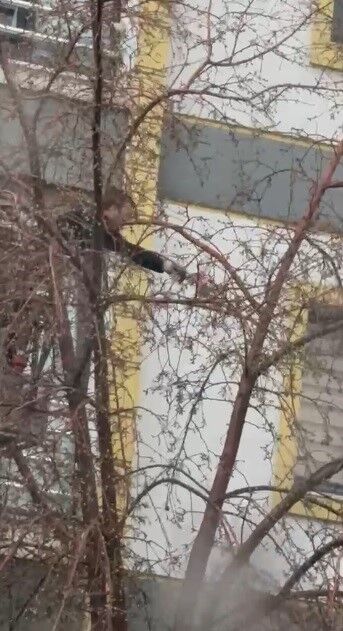 Kars'ta ağaçta mahsur kalan güvercini itfaiye ekipleri kurtardı