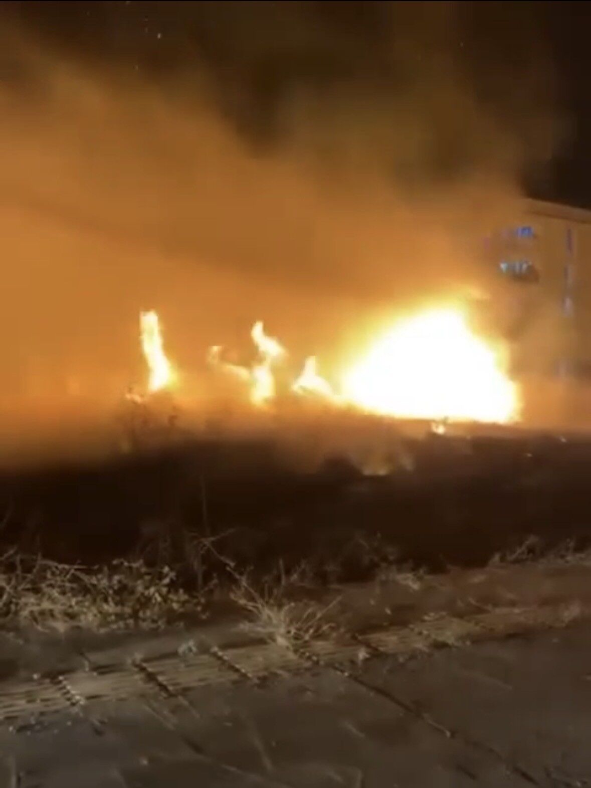 Mardin'de otluk alanda çıkan yangın söndürüldü