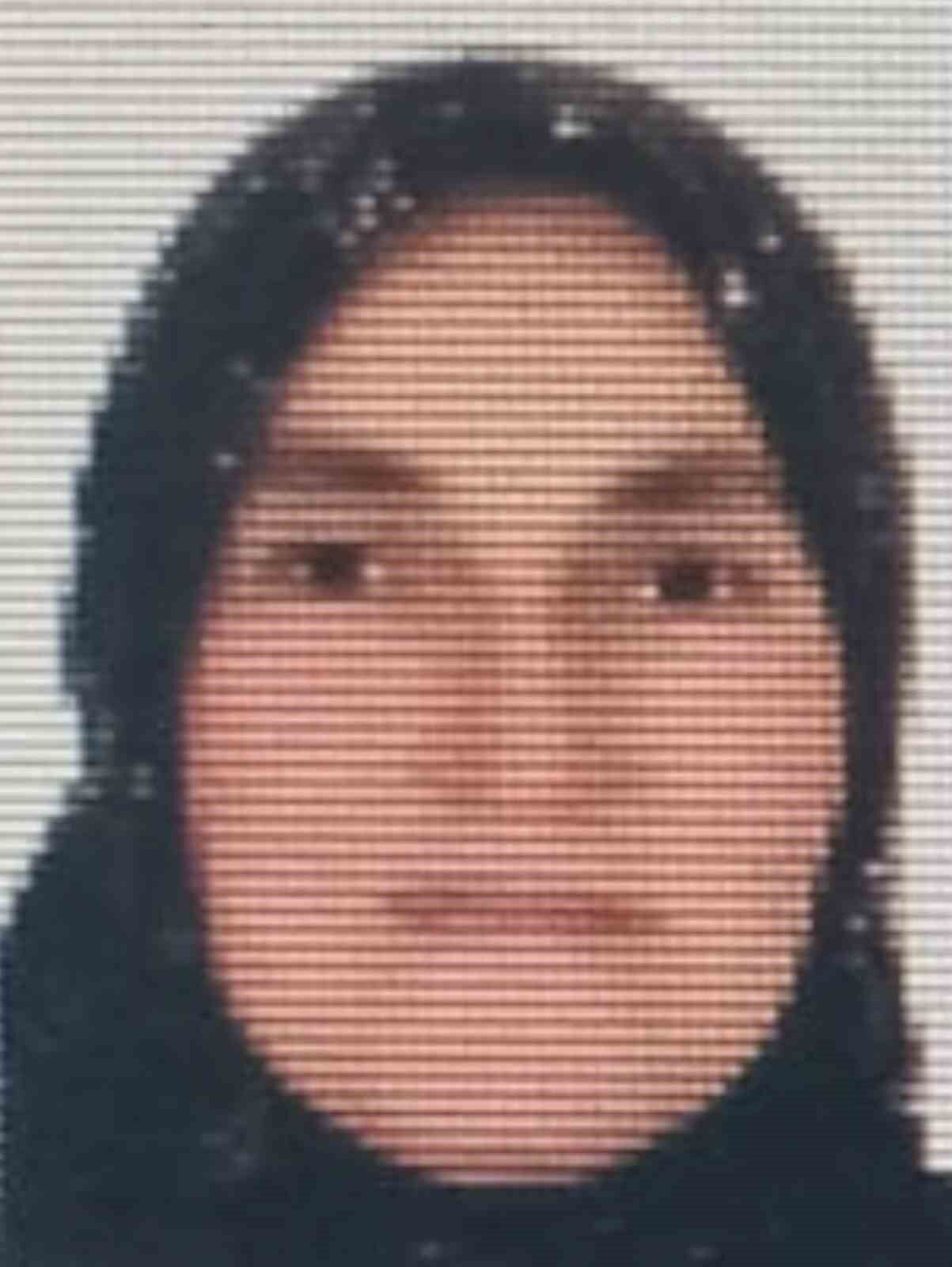 Ordu'da ineğin teptiği kadın hayatını kaybetti