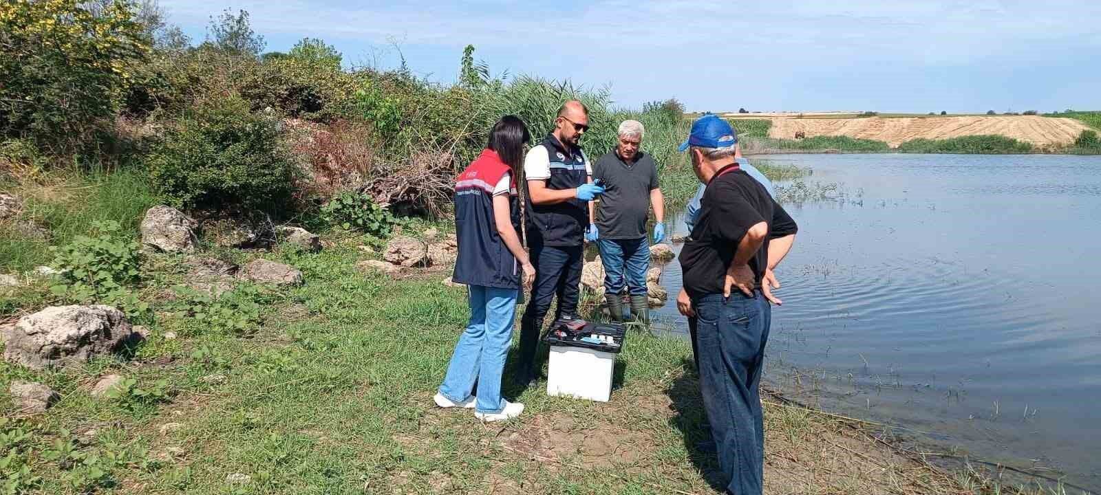 Edirne'de toplu balık ölümlerinin yaşandığı göletten numune alındı