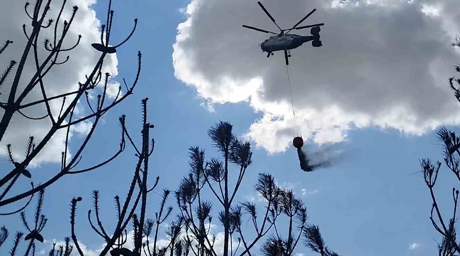 Kırklareli'deki orman yangını söndürüldü: 35 dekar alan zarar gördü