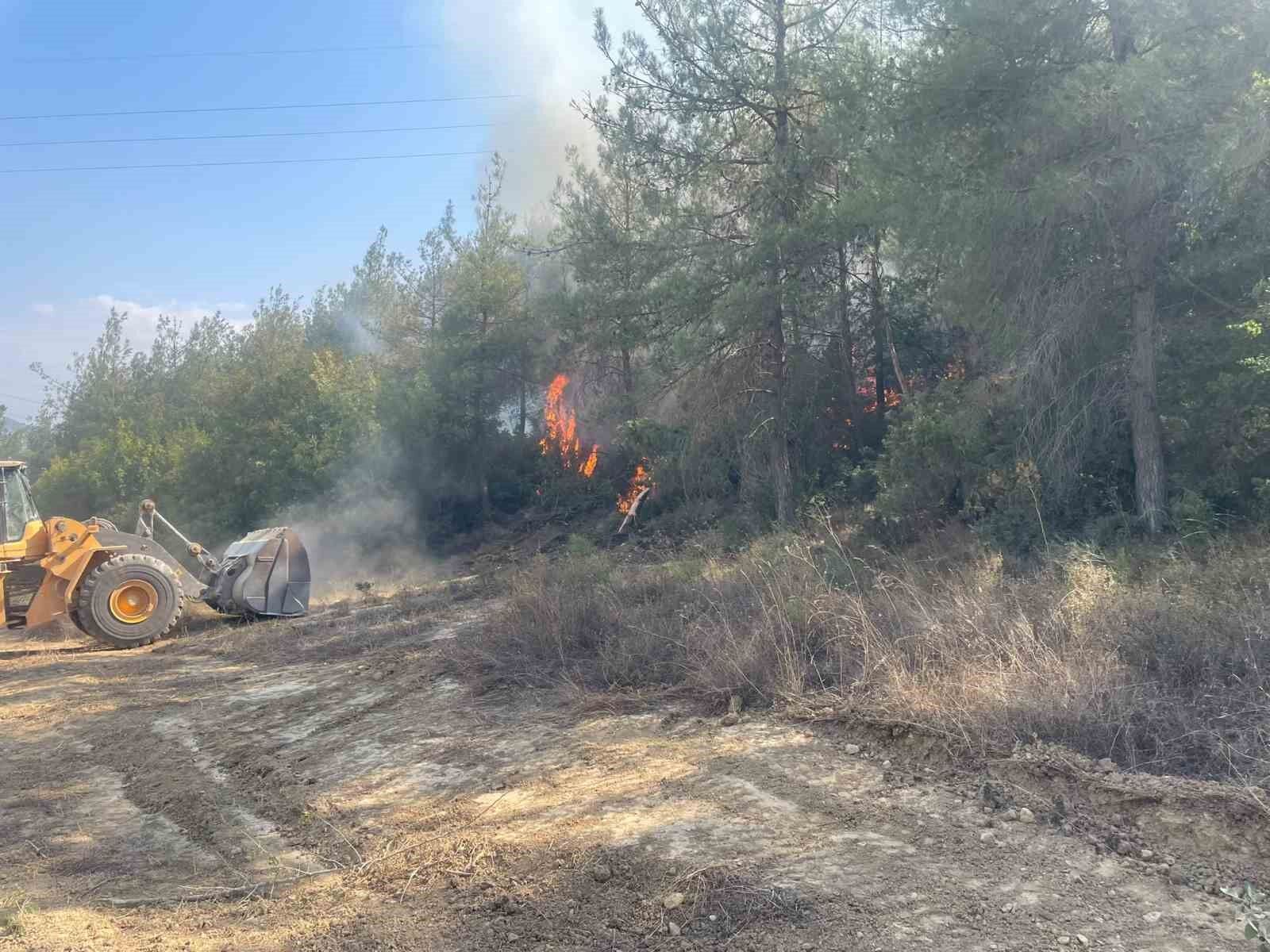 Bilecik'te orman yangını kısmen kontrol altına alındı