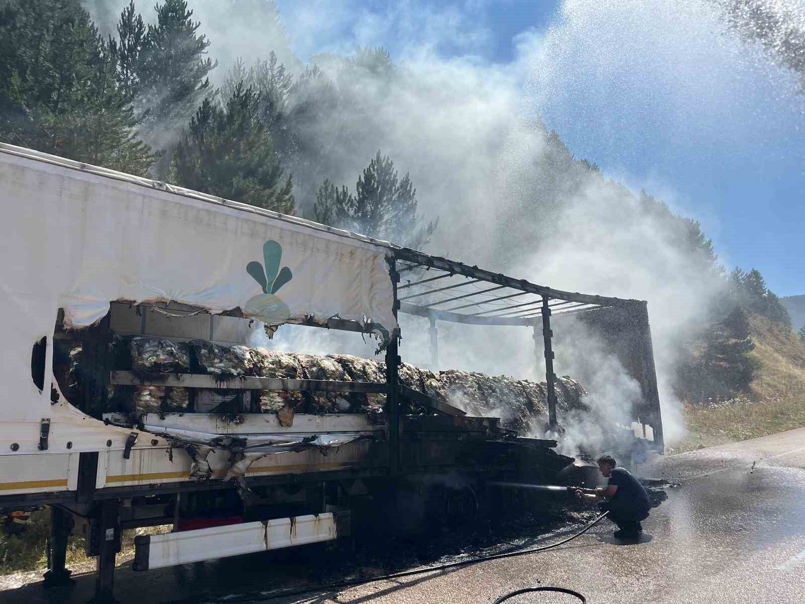 Bolu'da şeker yüklü tır alev aldı, yangın ormana sıçradı