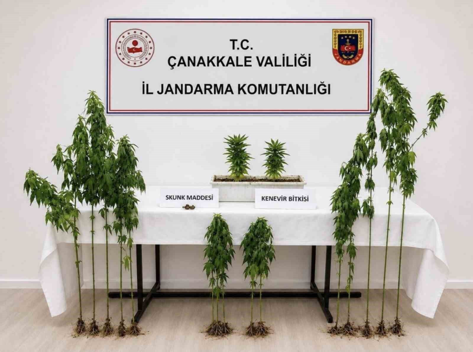 Çanakkale'de 3 ilçede uyuşturucu operasyonu