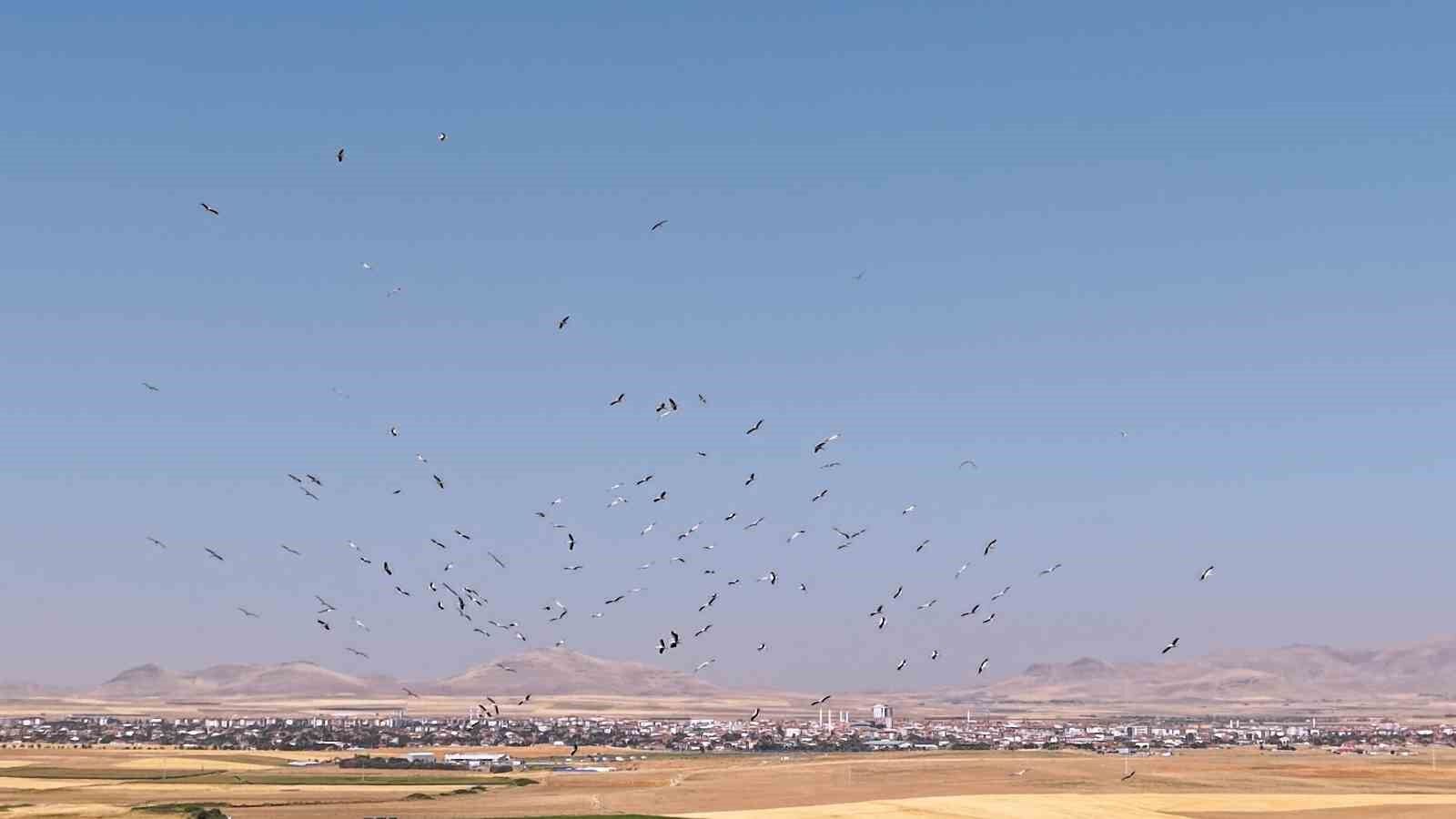 Düden Gölü'nde leyleklerin dansı havadan görüntülendi