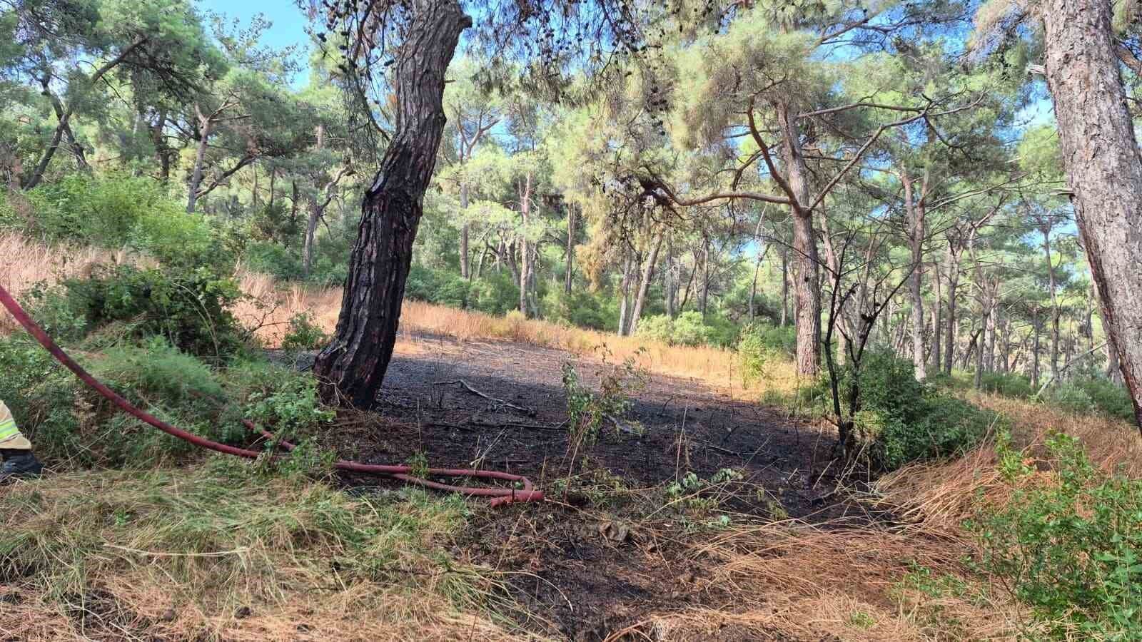 Heybeliada'da korkutan yangın: Ekiplerin hızlı müdahalesiyle söndürüldü