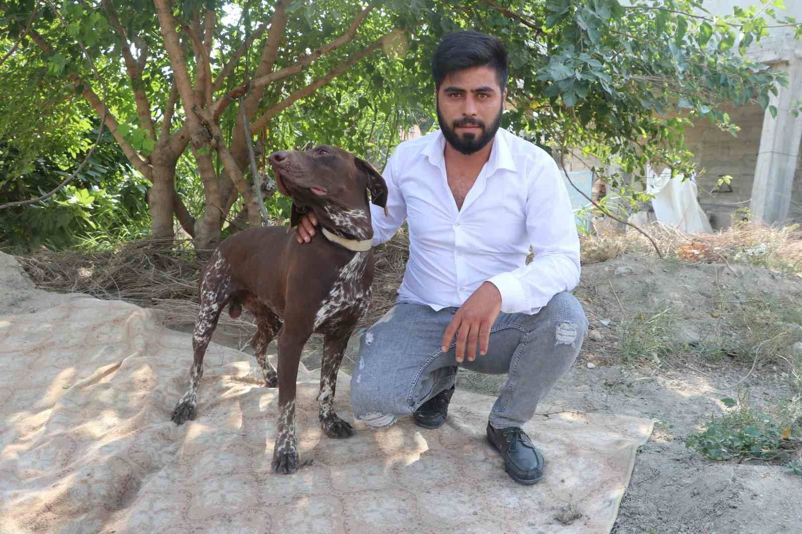 Adana'da köpeğe sopayla şiddet güvenlik kamerasında