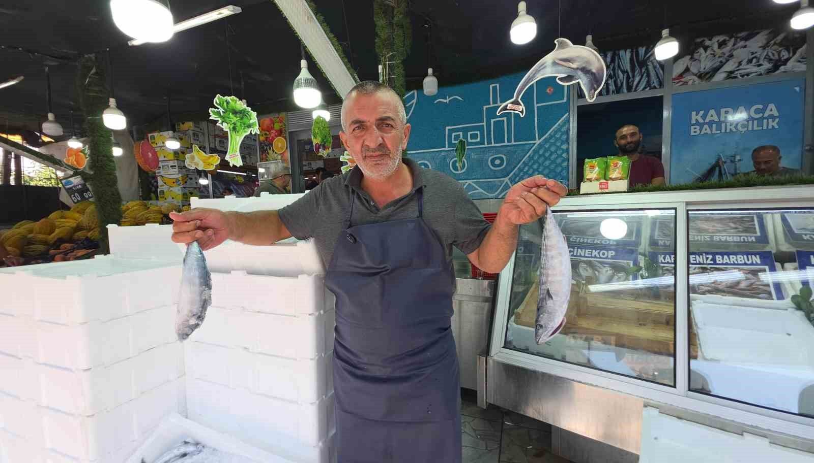 Düzce'de palamut tezgaha indi, vatandaş sıraya girdi