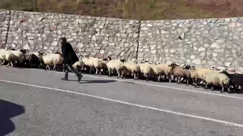 Erzurum'da göçerlerin zorlu 'Kışa dönüş' mesaisi başladı