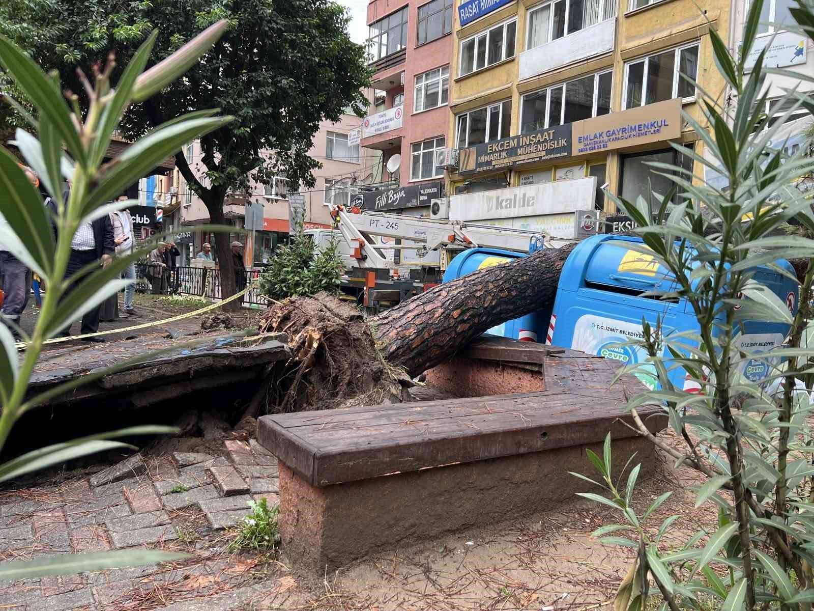 İzmit'te parkta ağaç devrildi