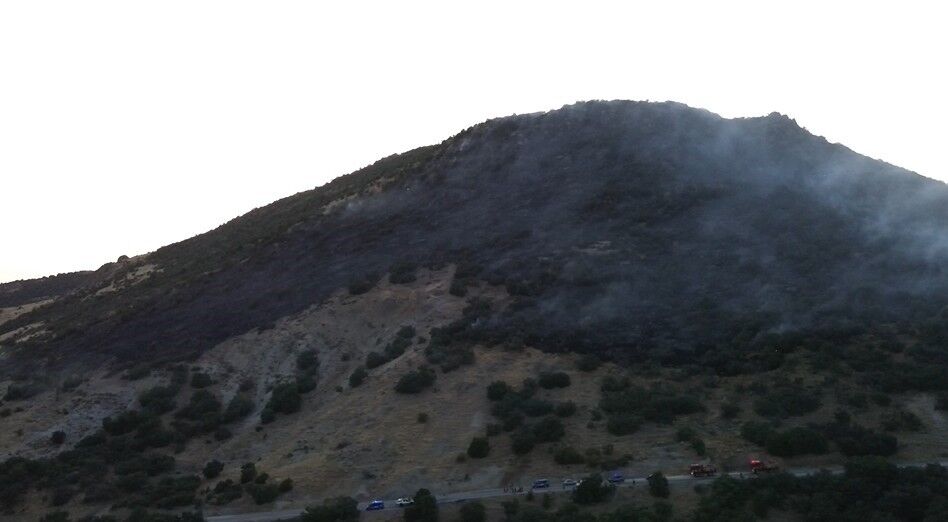 Konya'da ormanlık alanda yangın