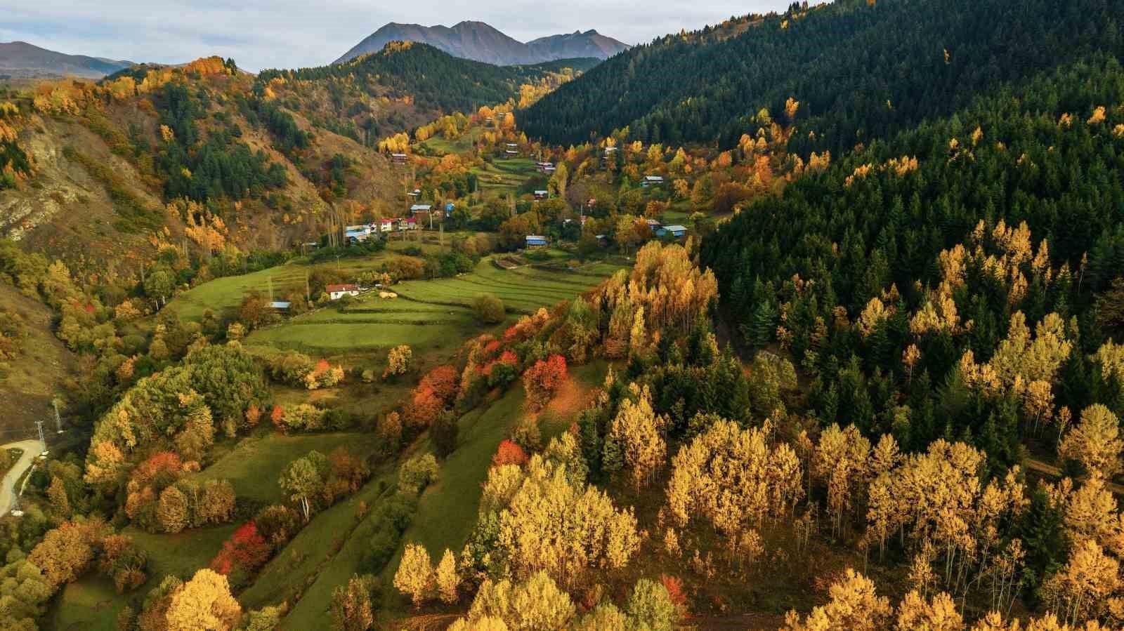 Artvin'de sonbahar renkleri hayran bırakıyor